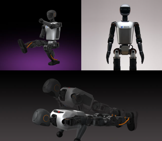BR T1